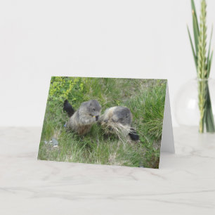 Murmeltiergrußkarte Karte