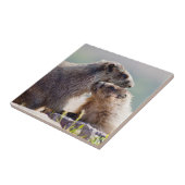 Murmeltiermutter mit Baby Fliese (Seite)