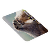 Murmeltiermutter mit Baby Magnet (Rechte Seite)