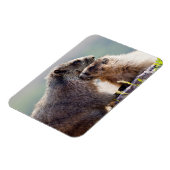 Murmeltiermutter mit Baby Magnet (Linke Seite)