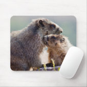 Murmeltiermutter mit Baby Mousepad (Mit Mouse)