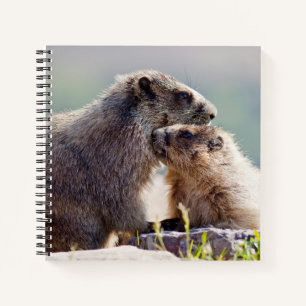 Murmeltiermutter mit Baby Notizblock