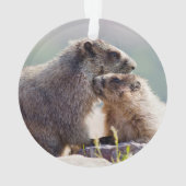 Murmeltiermutter mit Baby Ornament (Rückseite)