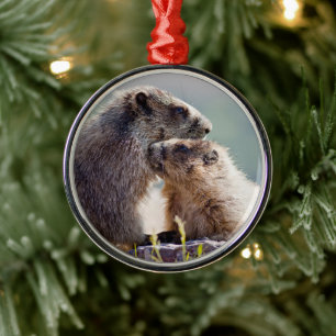 Murmeltiermutter mit Baby Ornament Aus Metall