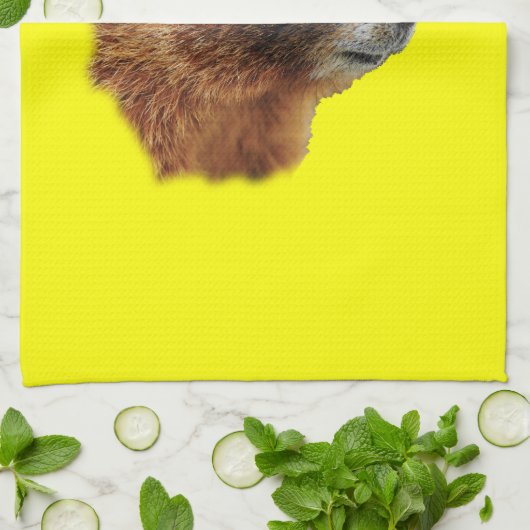 Murmeltierporträt Geschirrtuch (Gefaltet)