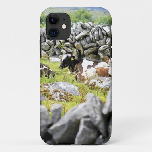 Murmuhkühe Case-Mate iPhone Hülle (Rückseite)