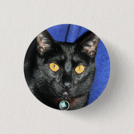 Murphy Button