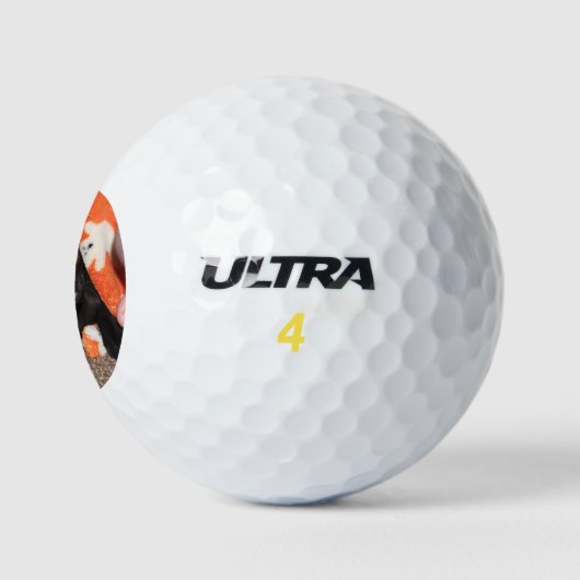 Murphy Golfball (Logo)