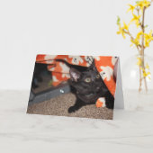 Murphy Karte (Gelbe Blume)