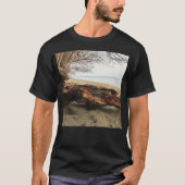 Murphy nimmt einen Flüchtige Blick T-Shirt (Vorderseite)