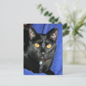 Murphy Postkarte (Stehend Vorderseite)