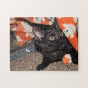 Murphy Puzzle