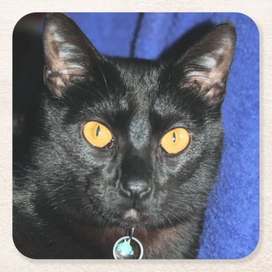 Murphy Rechteckiger Pappuntersetzer (Vorderseite)