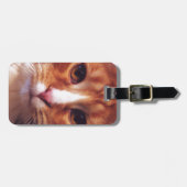Murphy the Orange Tabby Cat Gepäckanhänger (Vorderseite horizontal)
