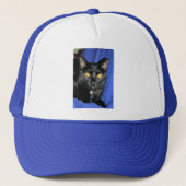 Murphy Truckerkappe (Vorderseite)