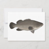 Murray Cod Mitteilungskarte (Vorderseite)