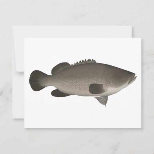 Murray Cod Mitteilungskarte (Vorderseite)