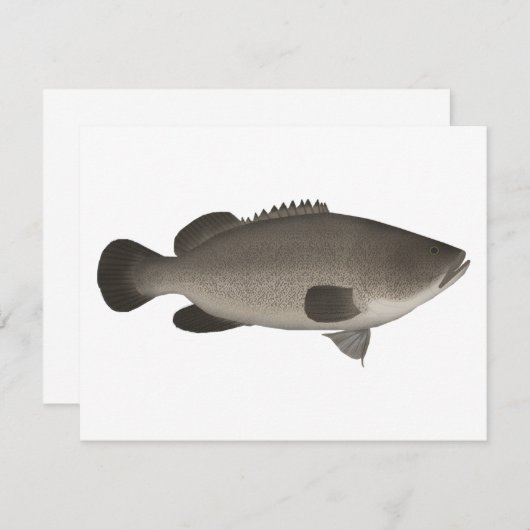 Murray Cod Mitteilungskarte (Vorne/Hinten)