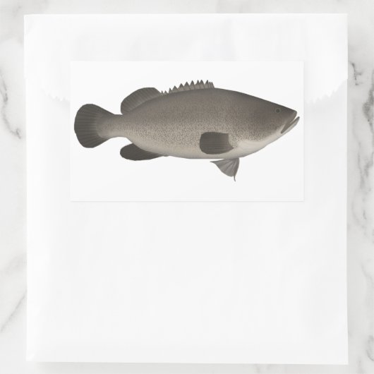 Murray Cod Rechteckiger Aufkleber (Tasche)