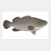 Murray Cod Rechteckiger Aufkleber (Vorderseite)