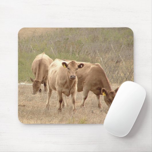 Murray-GrauMausunterlage Mousepad (Mit Mouse)