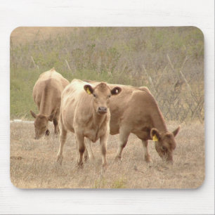 Murray-GrauMausunterlage Mousepad