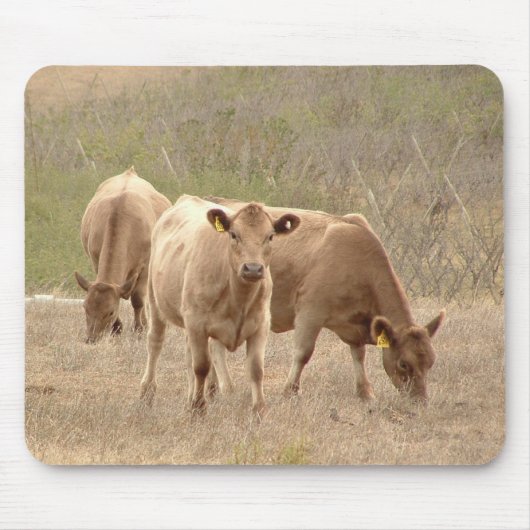 Murray-GrauMausunterlage Mousepad (Vorne)