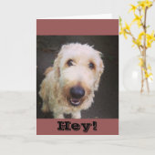 Murray Greeting Card Karte (Gelbe Blume)