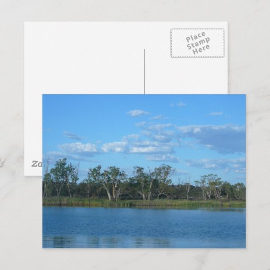 Murray River SA Postcard Postkarte (Vorne/Hinten)