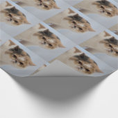Mürrische Gesichts-Katze Geschenkpapier (Ecke)