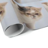 Mürrische Gesichts-Katze Geschenkpapier (Rolleneckpunkt)