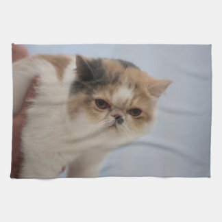 Mürrische Gesichts-Katze Küchentuch