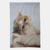 Mürrische Gesichts-Katze Küchentuch (Vertikal)