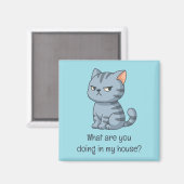 Mürrische Graue Tabby-Katze Lustiger Text Blau Magnet (Vorderseite/Rückseite)