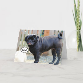 Mürrische Karte Mopsvalentines Tages