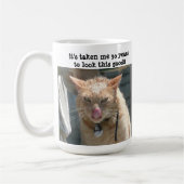 Mürrische Katze, 30 Jahre, zum dieses zu schauen Kaffeetasse (Links)