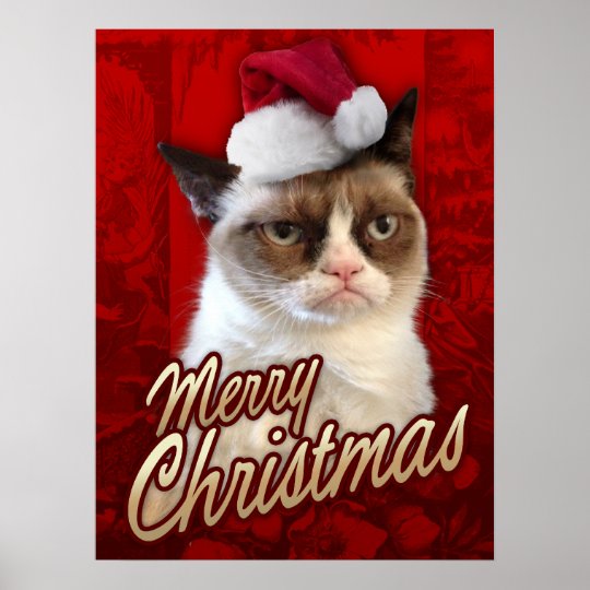 Frohe Weihnachten Bilder Katzen - Test 6