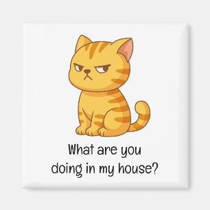 Mürrische orange getigerte Katze lustiger Text Magnet