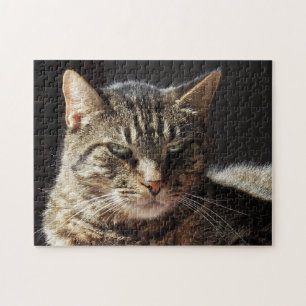 Mürrische Tabby-Katze Puzzle