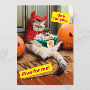 Mürrische Teufelskatze Einladung