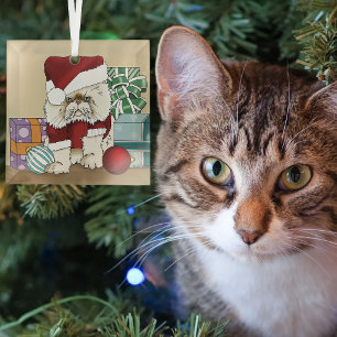 Mürrische Weihnachtskatze Santa Lustiger Urlaub Ornament Aus Glas