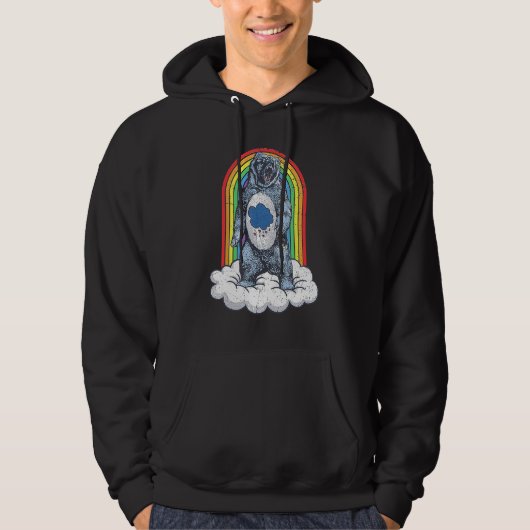 Mürrischer Bärenregenbogen Hoodie (Vorderseite)