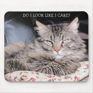 Mürrischer Engel ist egal Mousepad