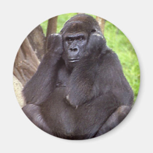Mürrischer Gorilla Magnet