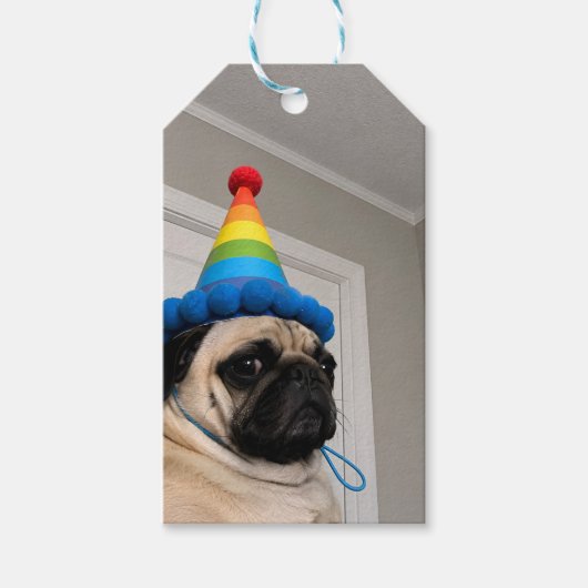 Mürrischer Mops mit Regenbogen-Geburtstagshut Geschenkanhänger (Vorderseite)