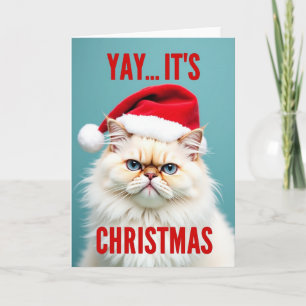 Mürrischer Weihnachtsmann-Katzen-Weihnachten Karte
