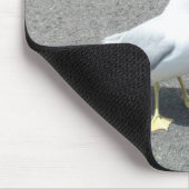 Mürrisches Begger Seemöwe-Tier Meme Mousepad (Ecke)