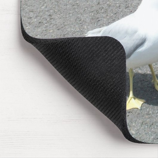 Mürrisches Begger Seemöwe-Tier Meme Mousepad (Ecke)