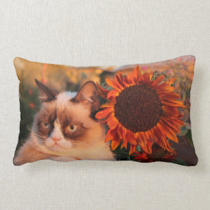 Mürrisches Katzen-Sonnenblume-Kissen Lendenkissen