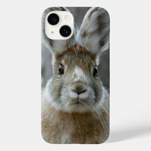 Murugi Zubehör Case Mate selten gibt Apple (Rückseite)